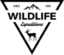 Example brand